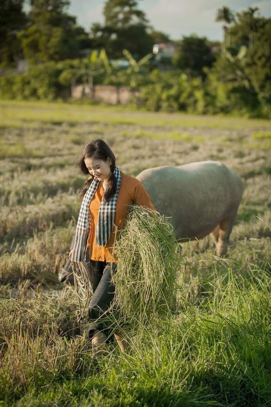 gái quê cùng trâu ra đồng