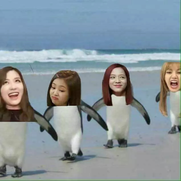 [Ảnh Chế BlackPink] Những Hình Ảnh Ghép Meme BlackPink Siêu Bựa Lầy