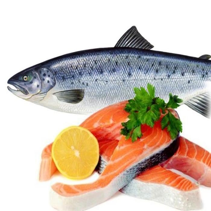 Hình ảnh cá hồi đại dương