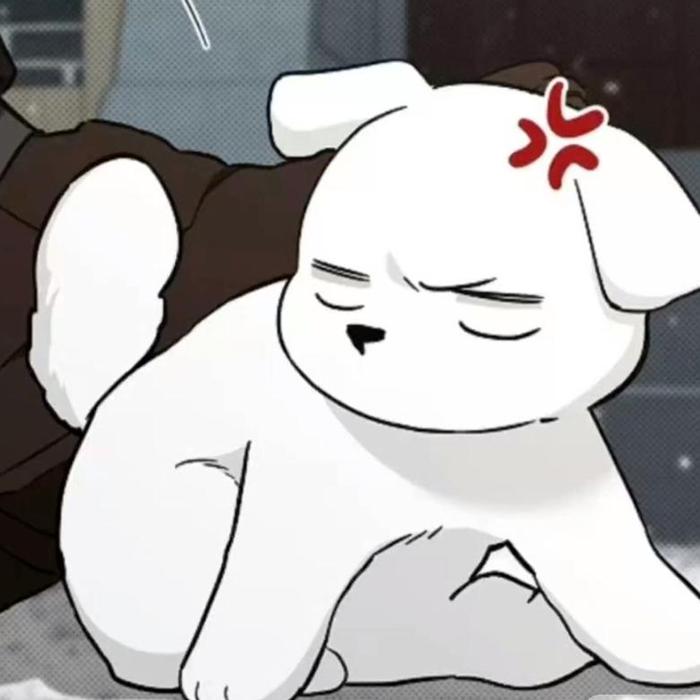 Hình ảnh con chó lườm meme cute