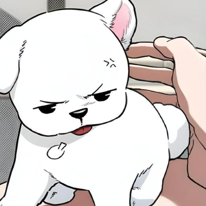 Hình ảnh con chó lườm meme cute