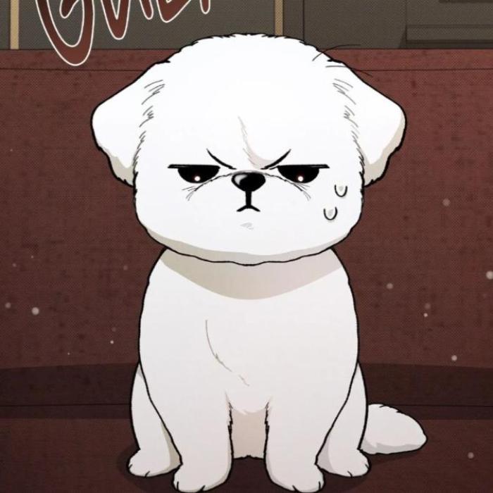 Hình ảnh con chó lườm meme cute