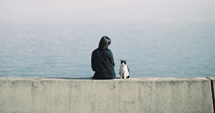 hình cô gái quay lưng tóc ngắn cùng chú mèo trắng