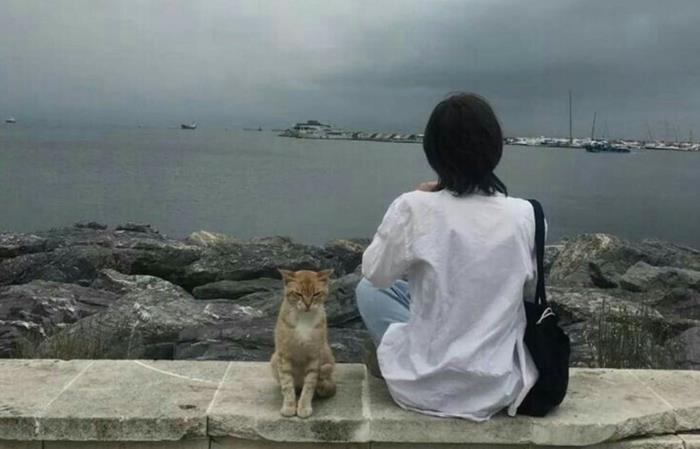 hình cô gái quay lưng tóc ngắn cùng chú mèo