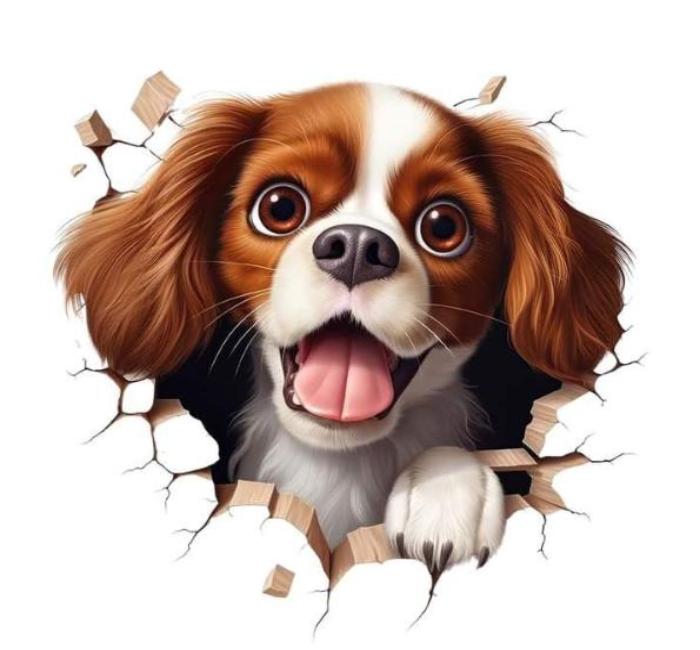 Ảnh động vật chibi cute