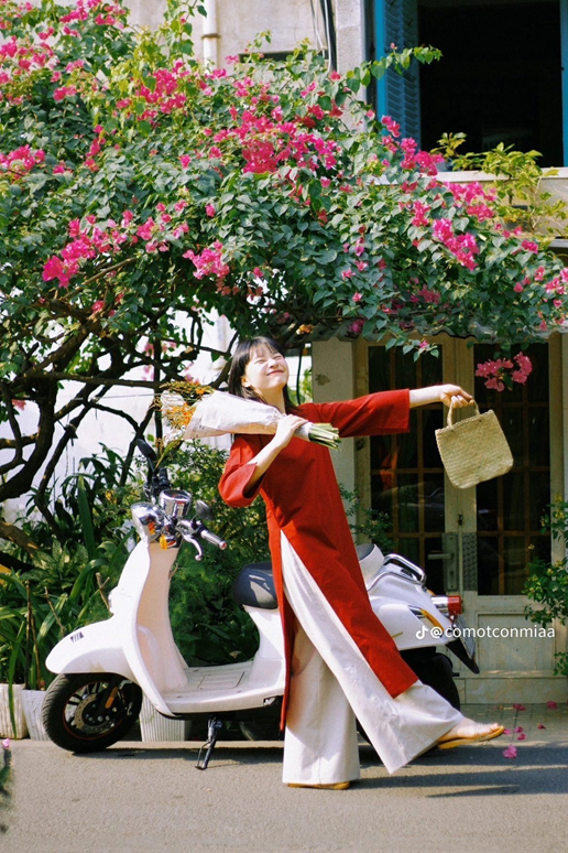 hình ảnh cô gái mặc áo dài cách tân bên cây hoa giấy