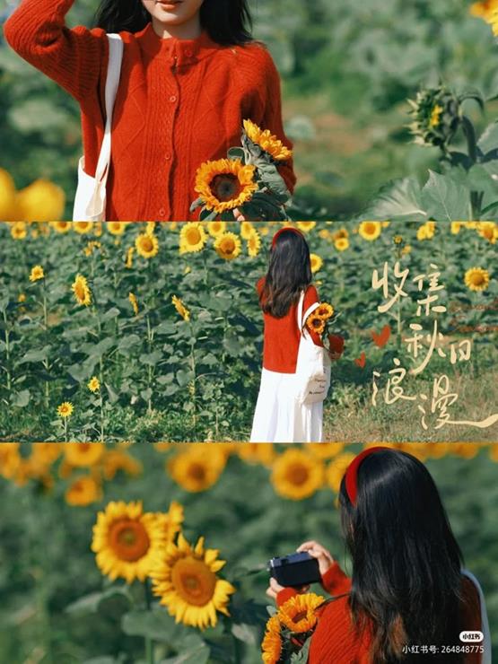 poster cô gái cầm hoa hướng dương mang không khí mùa hè