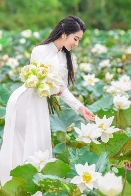 gái xinh cầm hoa sen trắng rạng rỡ