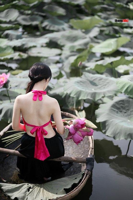 bóng lưng cô gái cầm hoa sen hồng