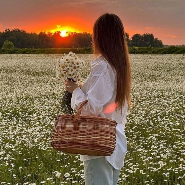gái xinh và hoàng hôn trên cánh đồng hoa thơ mộng