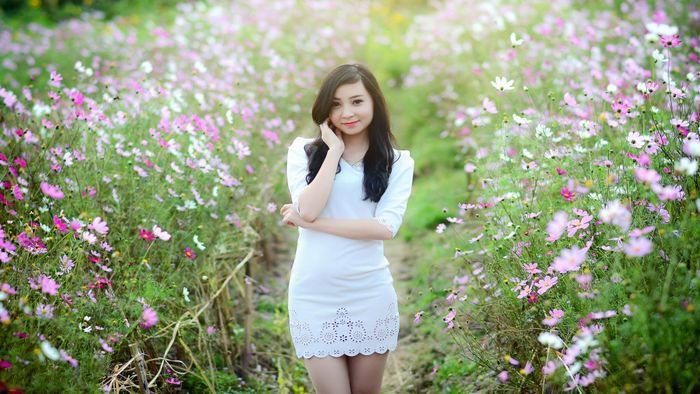 hình gái xinh mặc váy trắng bên bụi hoa