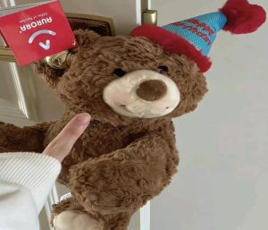 Gấu bông teddy đẹp
