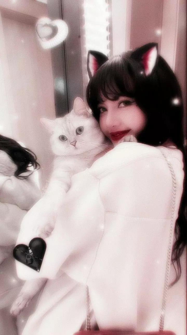 Ảnh Lisa Ôn Mèo – Album Ảnh Cute Dễ Thương Của Lisa Và Các Bé Mèo
