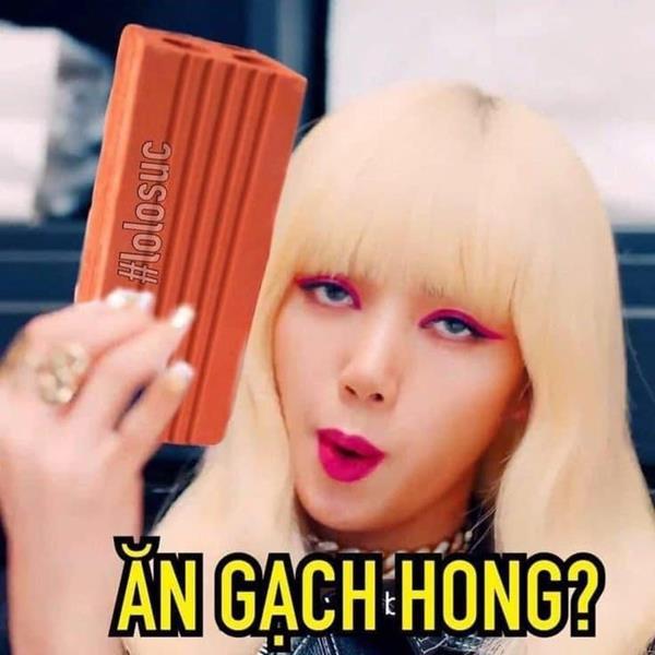 Ảnh gái hài Lisa