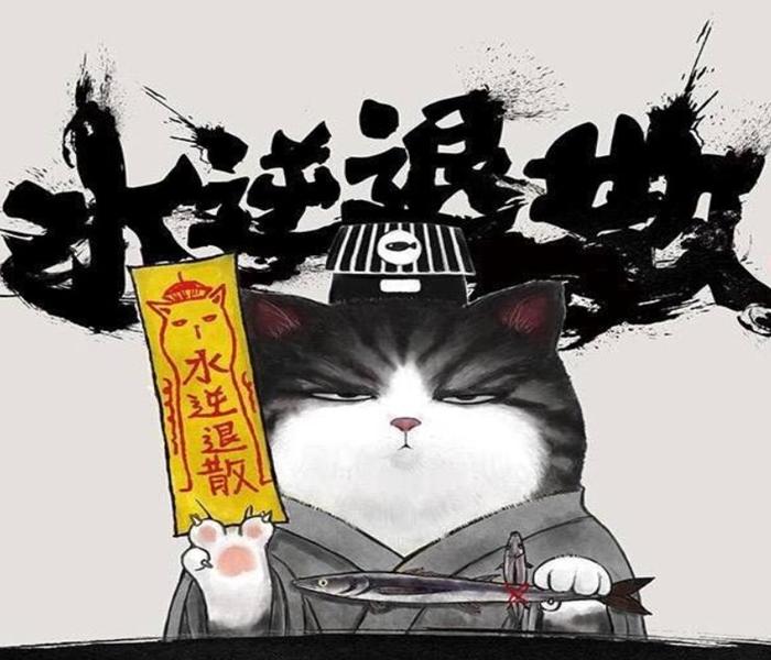 Ảnh mèo hoàng thượng đẹp