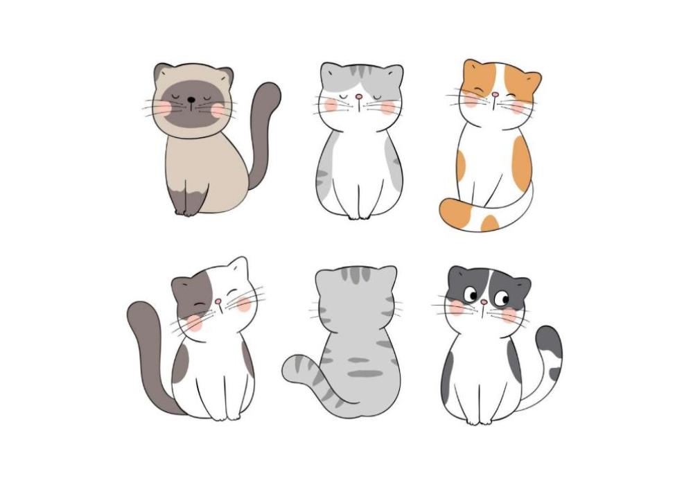 Hình ảnh con mèo vector