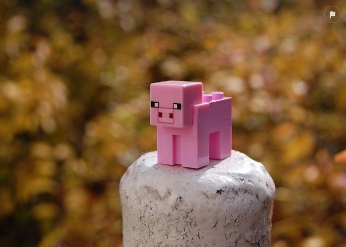Hình ảnh Minecraft