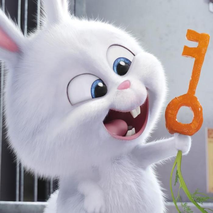 Hình ảnh thỏ hoạt hình và cà rốt
