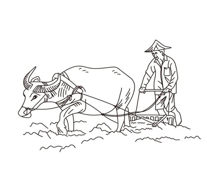 Hình vẽ con trâu cho bé tô màu