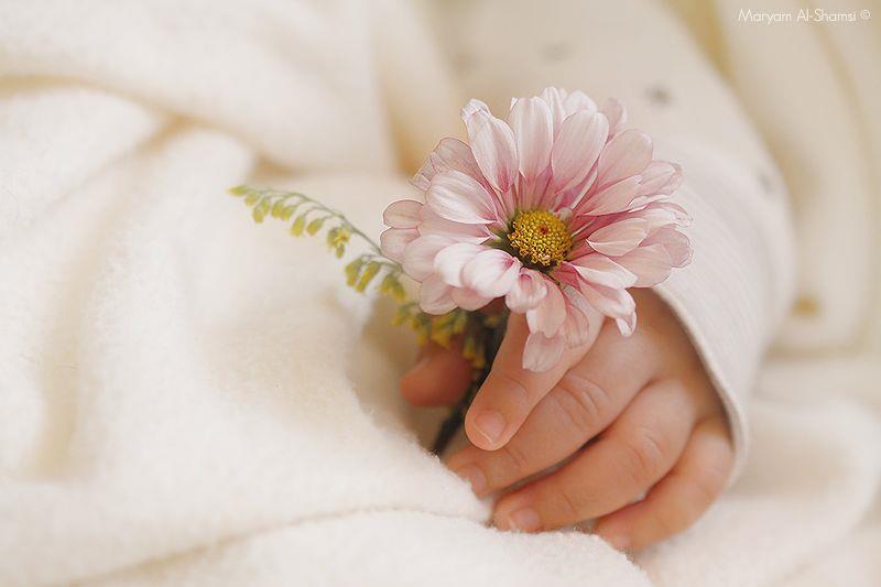 Ảnh tay bé cầm hoa đẹp
