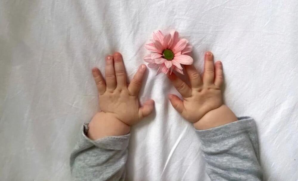 Hình ảnh bàn tay bé và hoa dễ thương