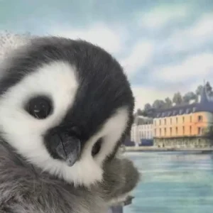 Vì sao avatar chim cánh cụt cute được yêu thích?