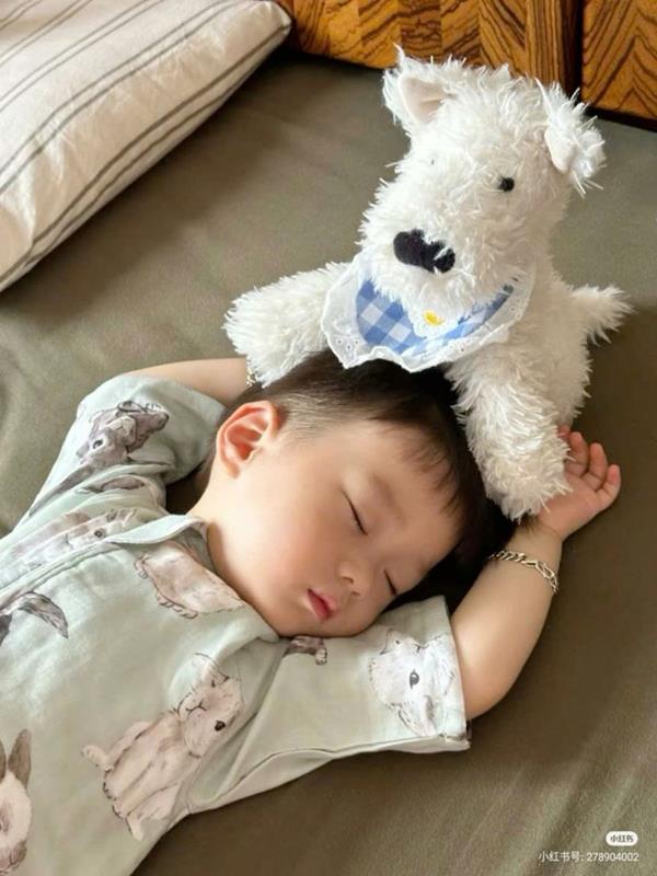 Ảnh bé ngủ ngon cùng bạn chó bông đáng yêu