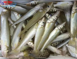 Hình Ảnh Đẹp Nhất Về Con Cá Bống - Bống Mú, Biển, Cát, Tượng