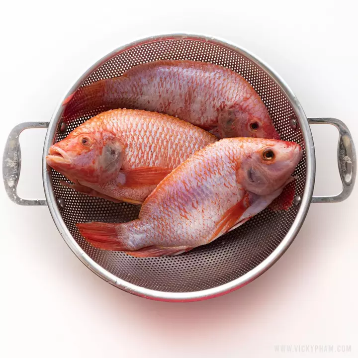 Bộ Sưu Tập Hình Ảnh Đẹp & Chân Thật Nhất Về Con Cá Diêu Hồng