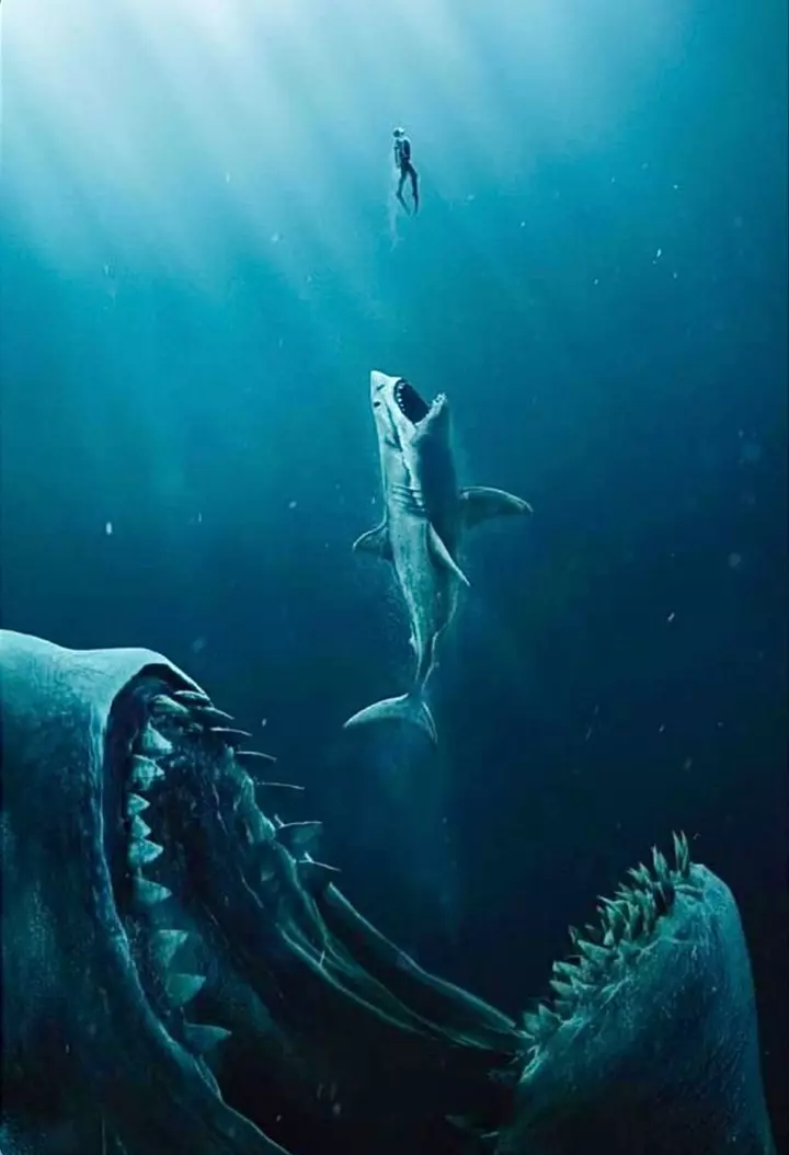 Cá mập Megalodon là gì?