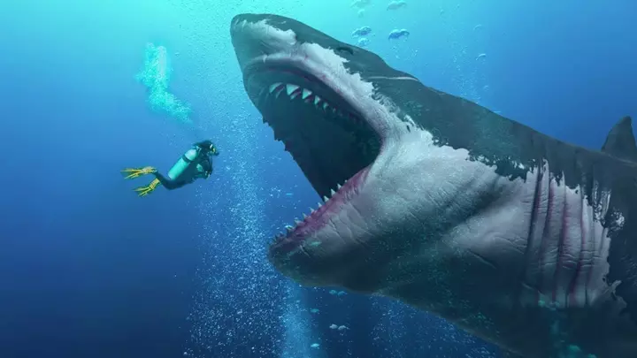 Hình ảnh của cá mập megalodon