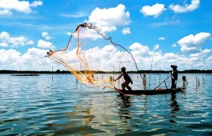 Những Hình Ảnh Đánh Bắt Cá Đẹp, Nghệ Thuật, Chân Thật Nhất