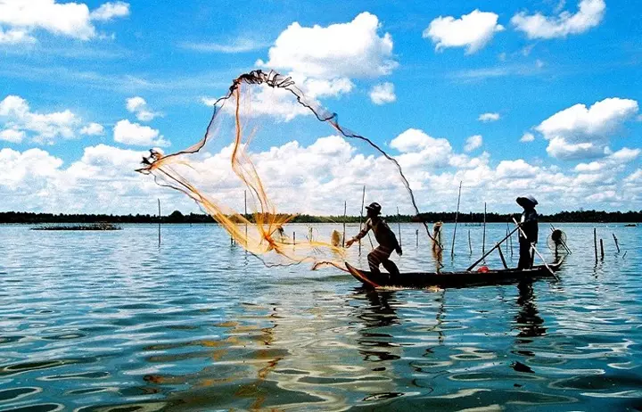 Những Hình Ảnh Đánh Bắt Cá Đẹp, Nghệ Thuật, Chân Thật Nhất