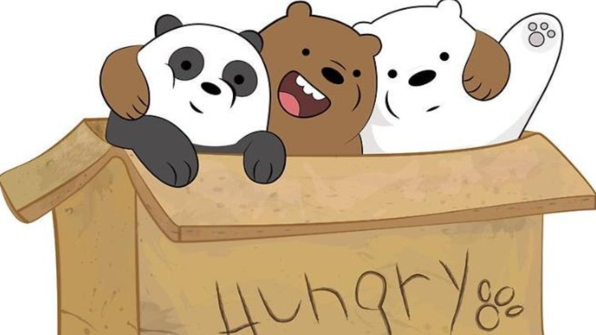 Hình nền máy tính ảnh 3 chú gấu đáng yêu