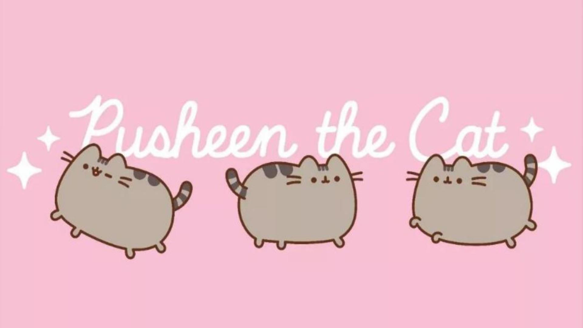 Hình nền mèo pusheen cute cho máy tính 