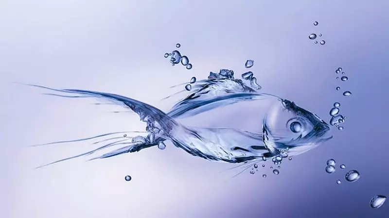 Hình nền cá 3D chân thực