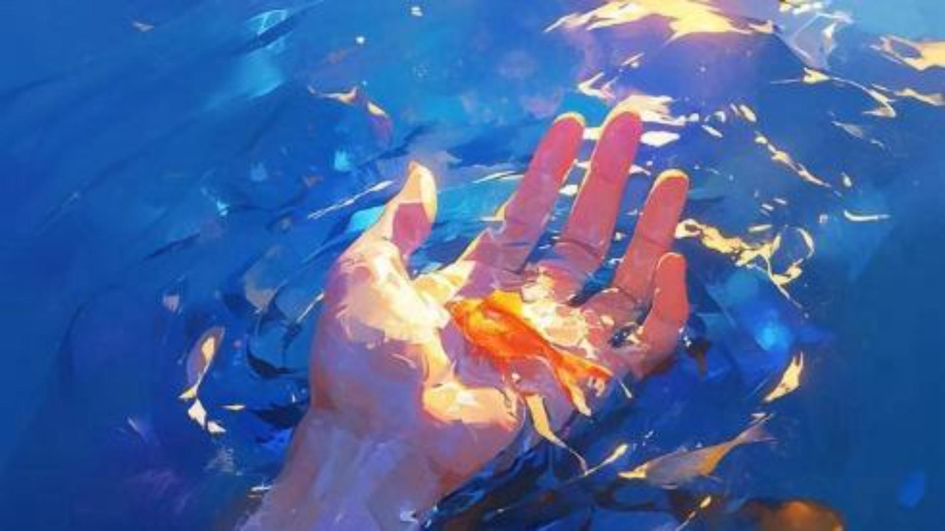 Hình nền ảnh con cá bơi cho máy tính miễn phí 