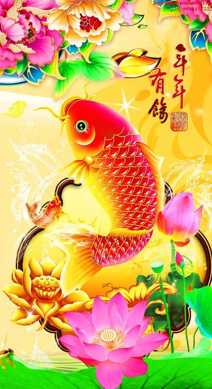 hình nền cá chép hóa rồng