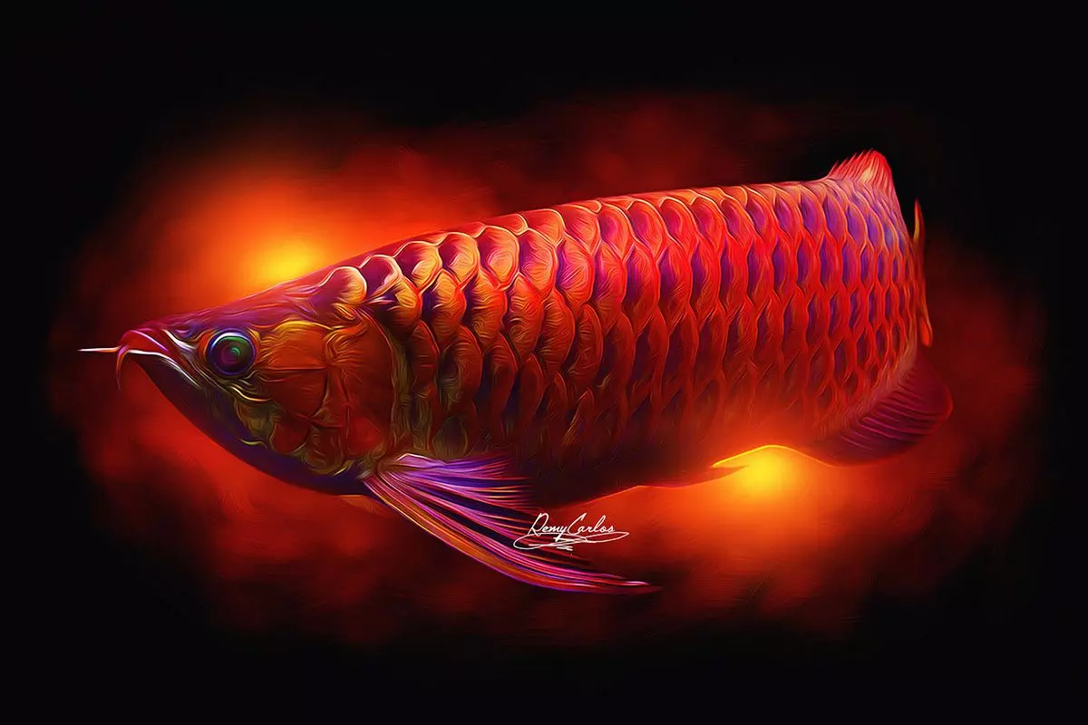 55+ Hình Nền Cá Rồng Đẹp, Chất Cho Điện Thoại, PC – 3d 4k Miễn Phí
