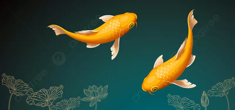 Hình nền cá vàng đẹp