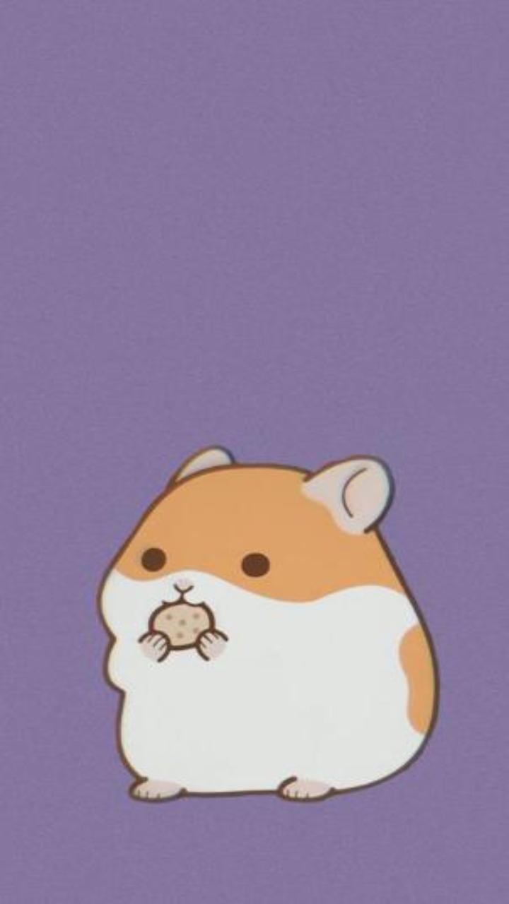 Hình nền chuột hamster dễ thương cho điện thoại 