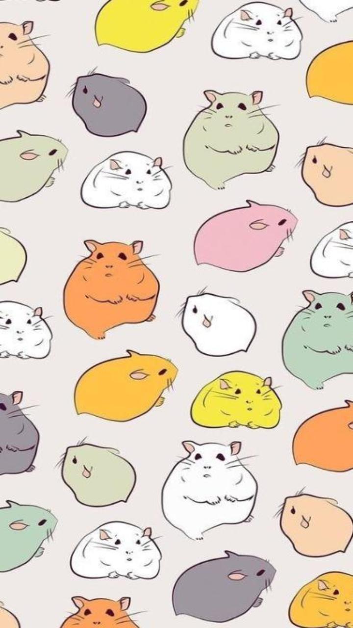 Hình nền chuột hamster dễ thương cho điện thoại 