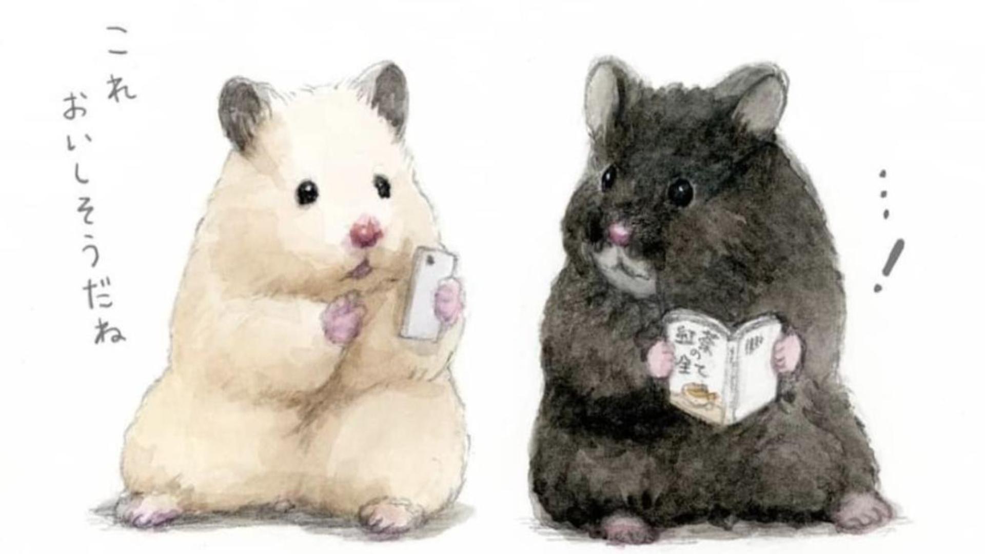 Hình nền máy tính chuột hamster cute 