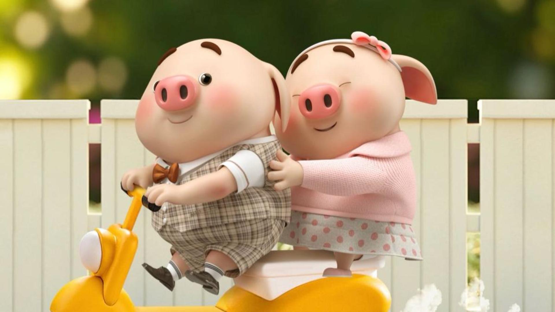 Hình nền máy tính chát lượng cao, chuẩn 4K ảnh con heo xinh xỉu 
