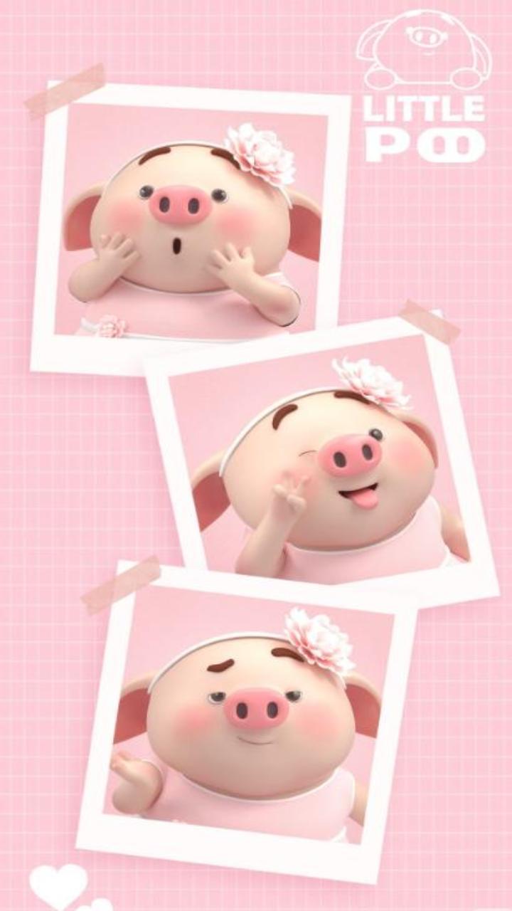 Ảnh con heo hồng đáng yêu làm hình nền cho ĐT siêu cute 