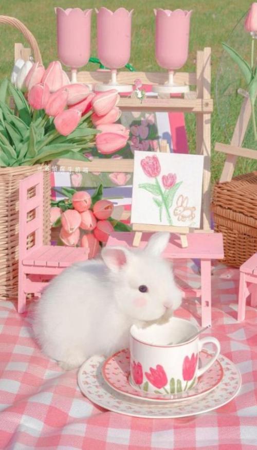 Ảnh thỏ hồng làm hình nền ĐT 