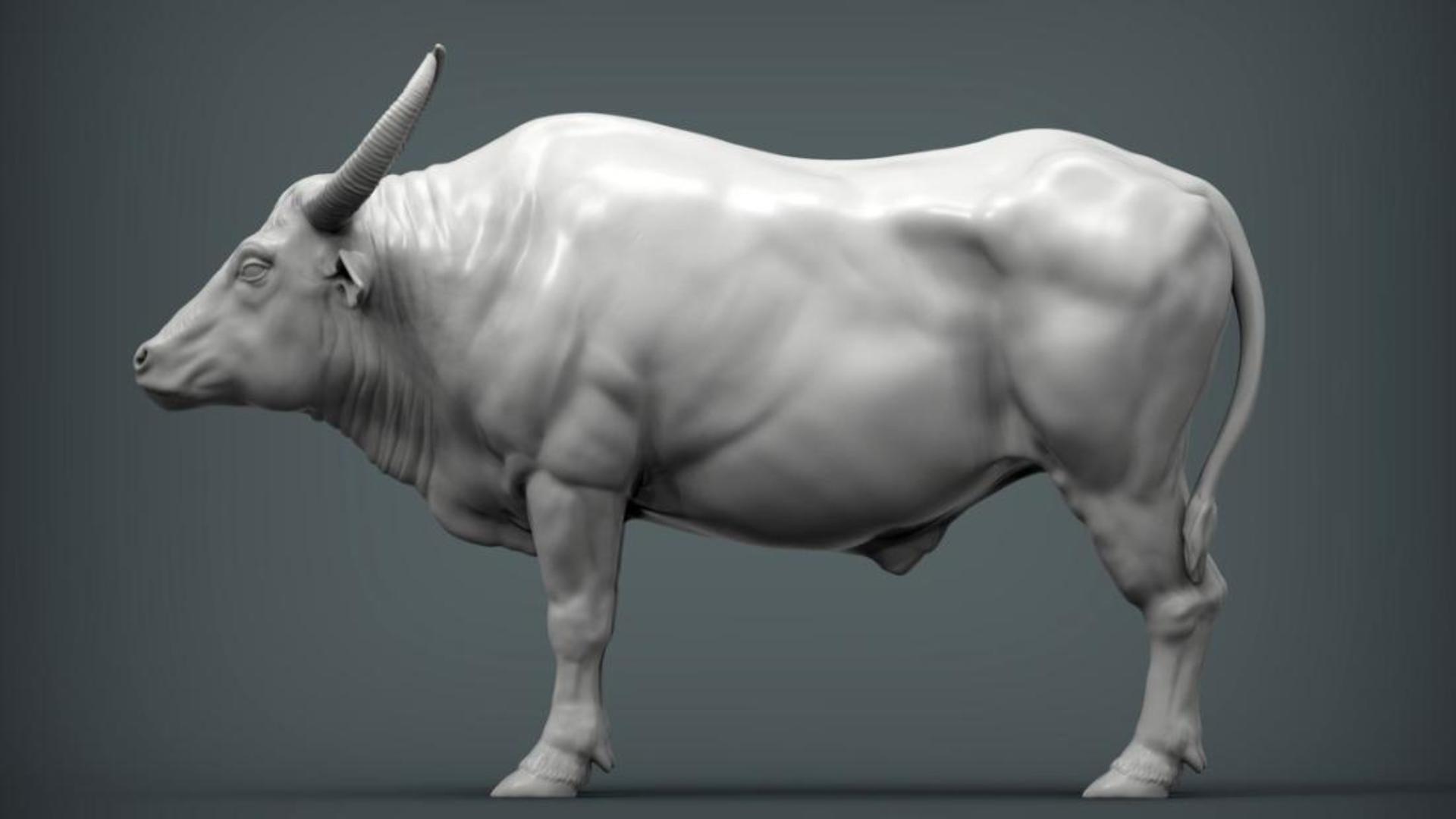 Ảnh con trâu 3d cài hình nền máy tính cực đẹp 