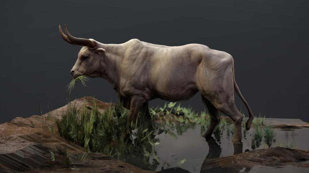 Hình nền máy tính ảnh trâu 3D cực đẹp 