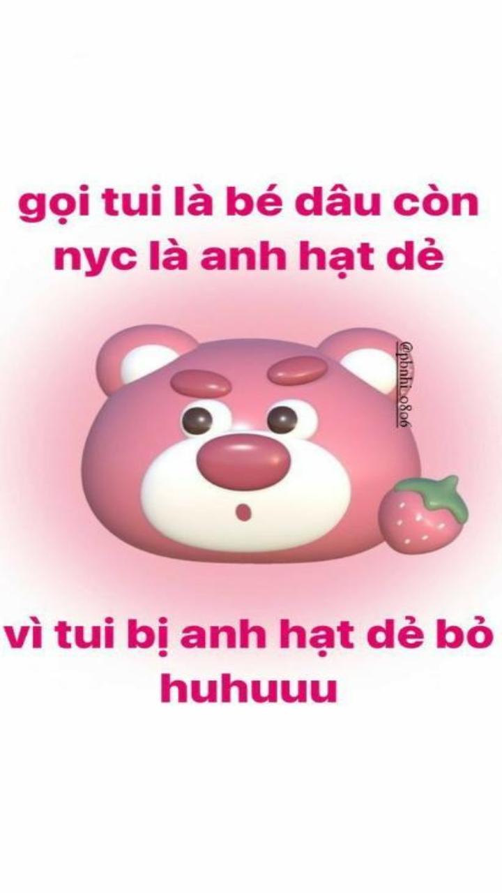 Gấu dâu meme hài hước làm hình nền điện thoại 