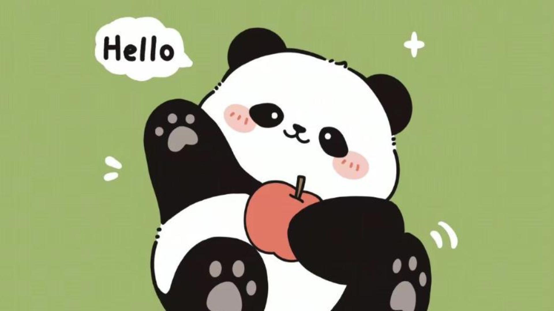 Hình nền gấu trúc chibi cute cho laptop miễn phí 